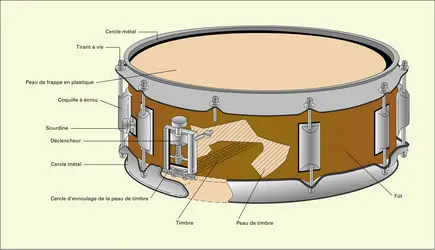 Instruments à percussion - Classification thématique